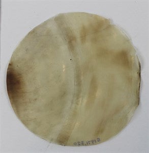 Image description is not available for S1971.320